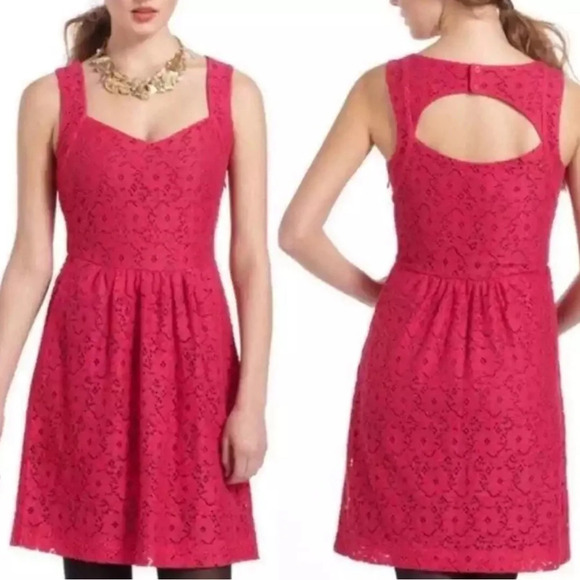 ANTHROPOLOGIE Deletta Med Fuscia Lace Embroidery Lined Sleeveless Eyelet Dress - Picture 1 of 14